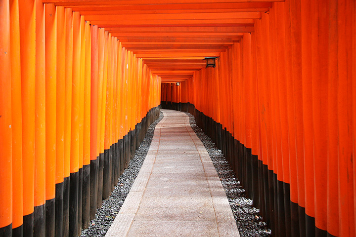 Fushimi Inari Taisha Shrine