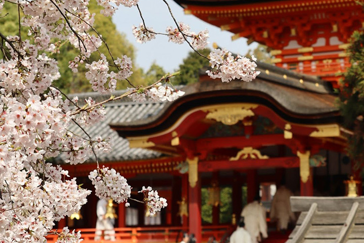 Iwashimizu Hachimangu Shrine