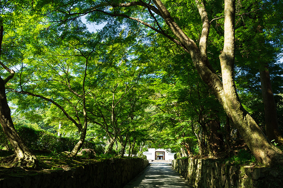 Kosho-ji Temple