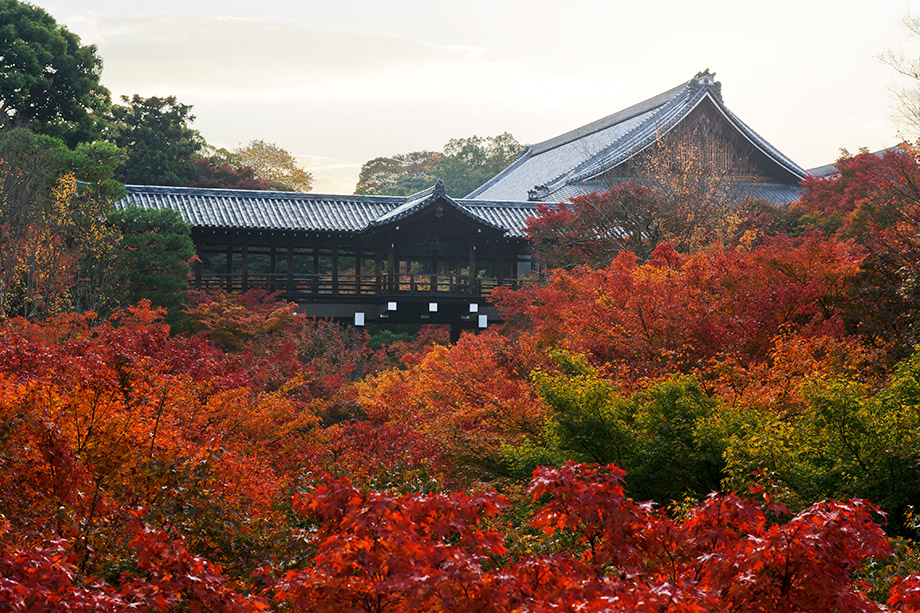 Tofuku-ji Temple and Hojo Teien (Garden of the Abbot's Hall)