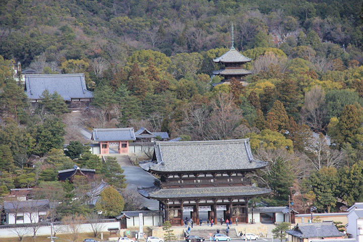 닌나지(仁和寺)