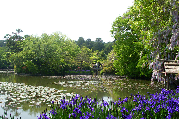 료안지(龍安寺)