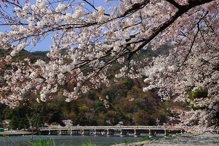 도게츠쿄(渡月橋)