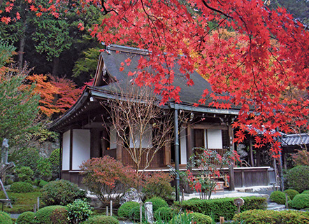 Jakko-in Temple