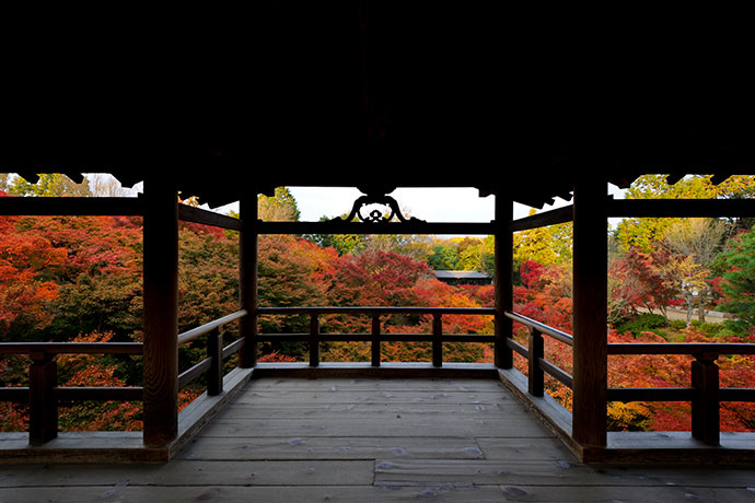 Picturesque autumn foliage of Tofuku-ji Temple