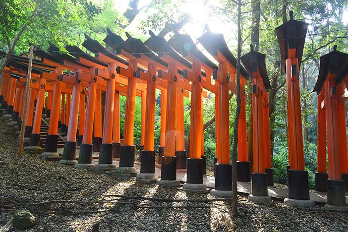 伏見稻荷神社的千鳥居