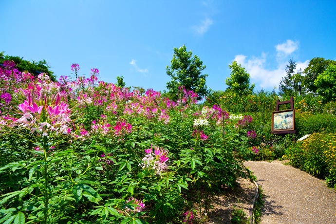 花園美術館比叡