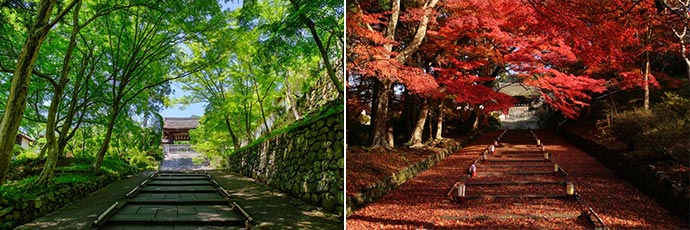 毘沙門堂門跡