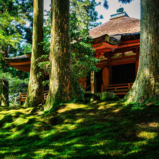 Hiking Adventure on the Kyoto Trail!