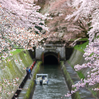 搭乘琵琶湖水渠觀光船，暢遊沿線神社寺院的一日小旅行