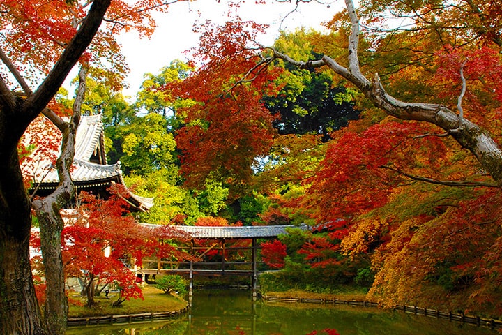 Kodai-ji Temple