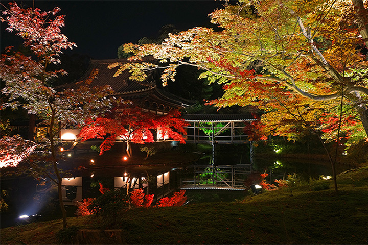 Kodai-ji Temple