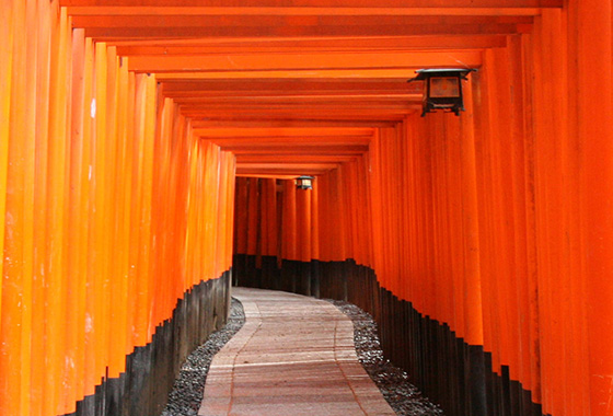 Savor Delicious Sake on a Trip to Fushimi Inari and the Sake District