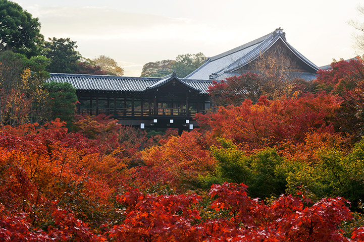 Tofuku-ji Temple