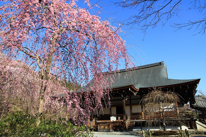 Tenryuji Temple