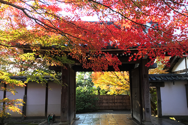 Ryoan-ji Temple