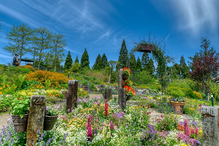 花園美術館比叡