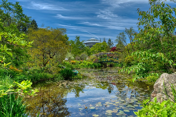 Garden Museum Hiei