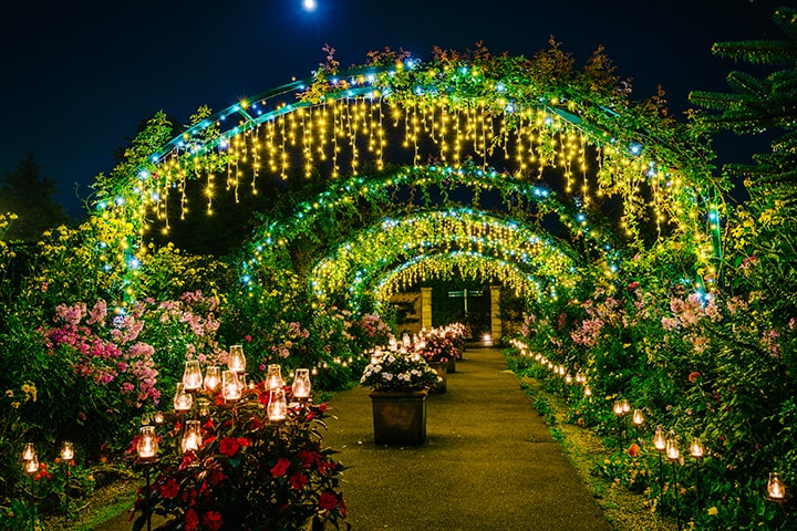 花園美術館比叡