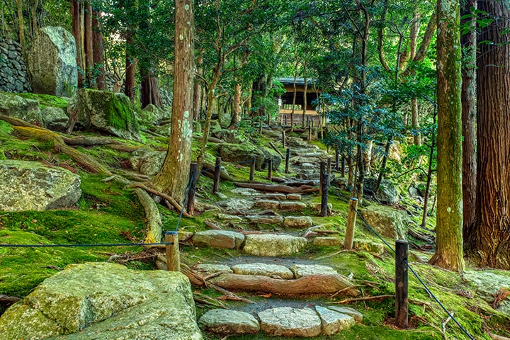 Kyu Chikurin-in Temple