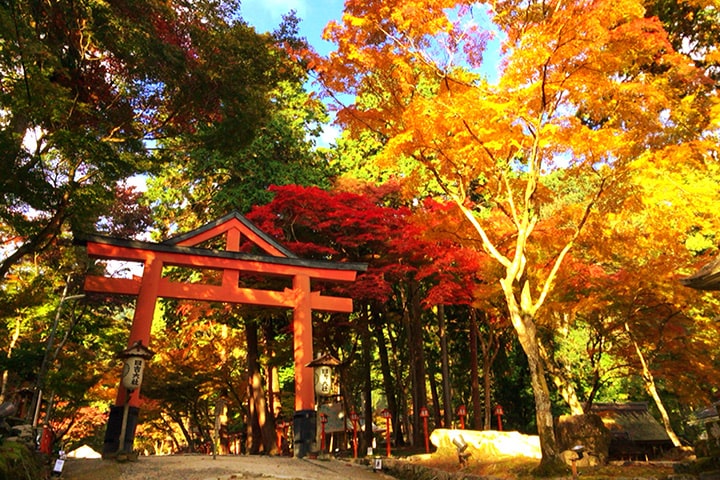 Hiyoshi Taisha Shrine