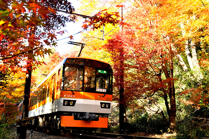 Kirara/Momiji Tunnel