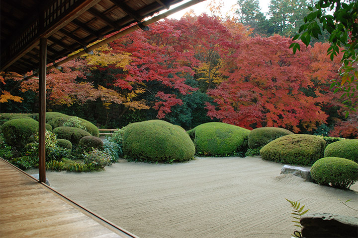 Shisen-do Temple