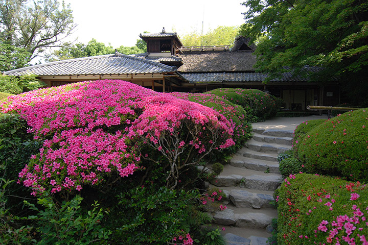 Shisen-do Temple