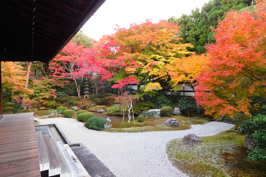 泉涌寺
