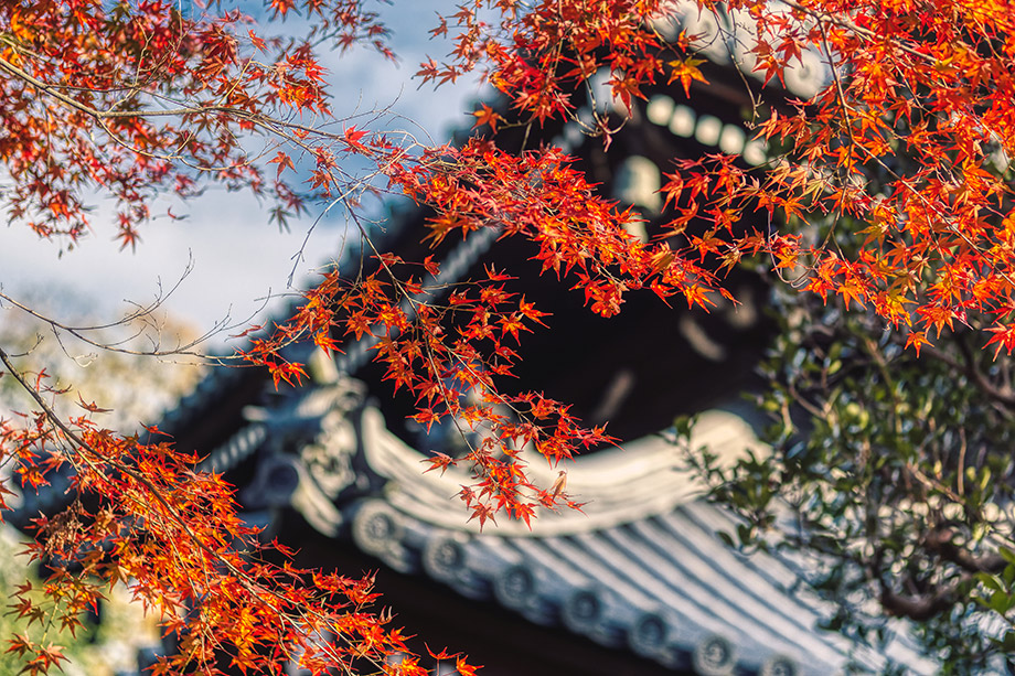安樂寺