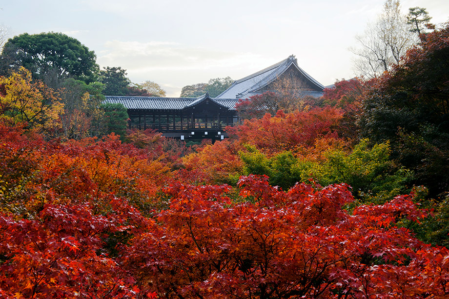東福寺