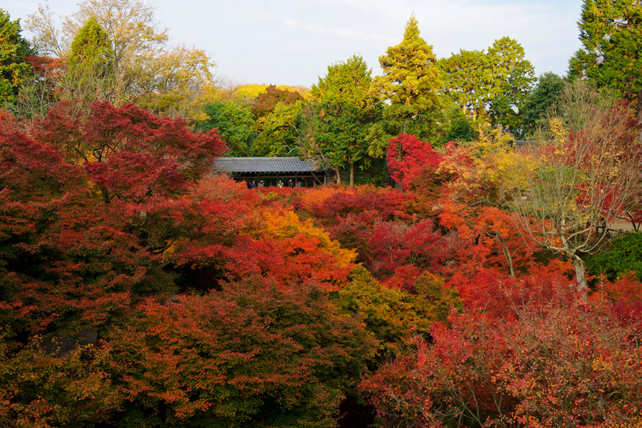 東福寺