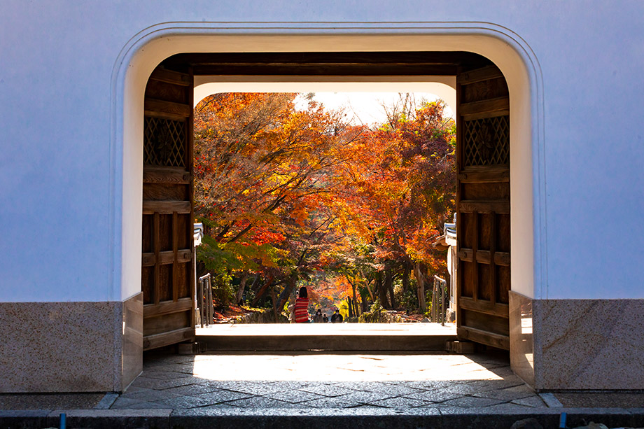 興聖寺