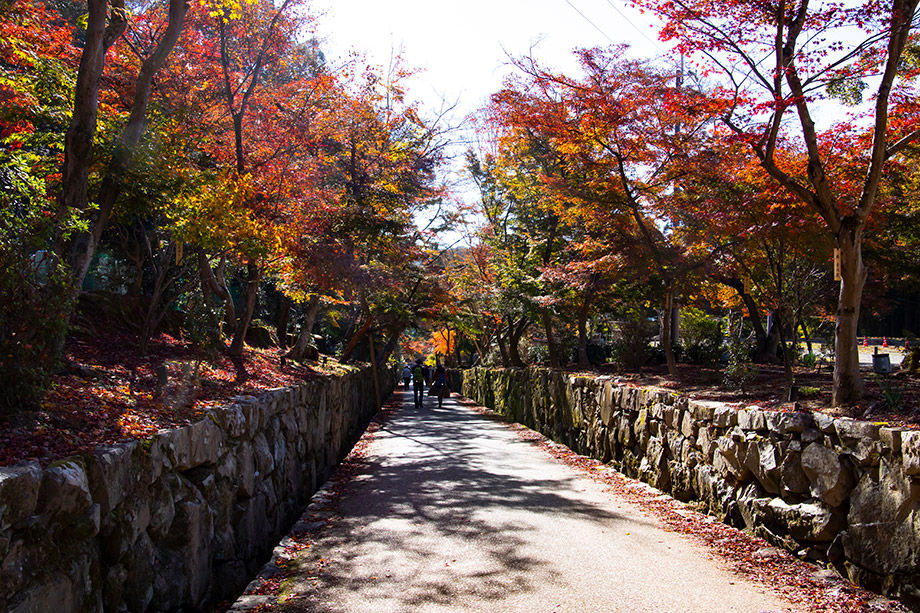 興聖寺