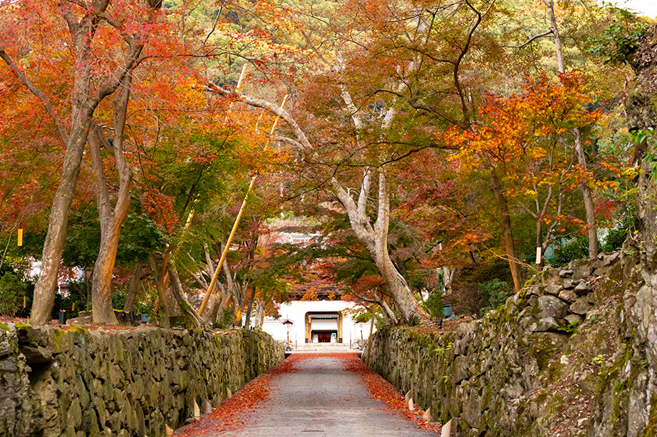 興聖寺