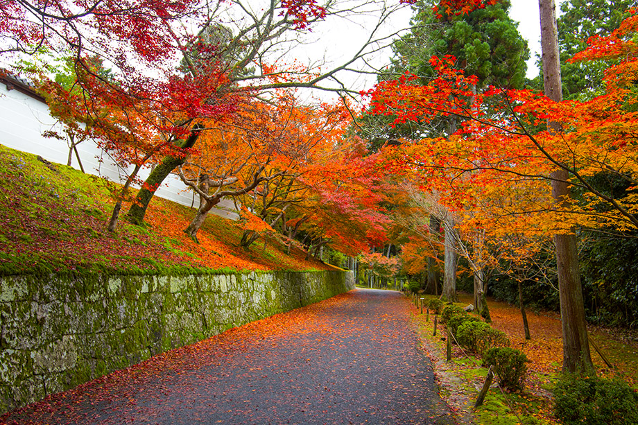 曼殊院