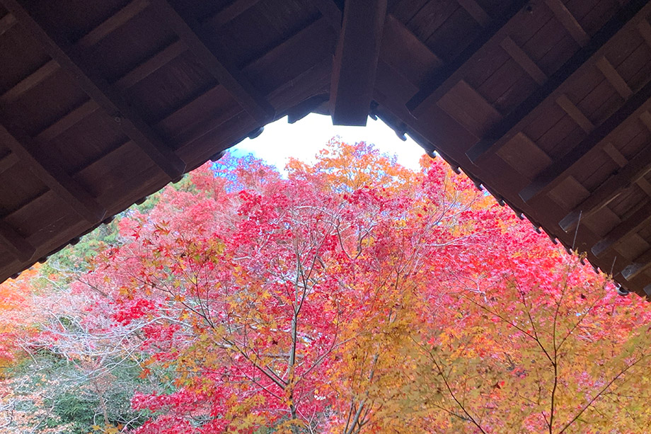 實相院