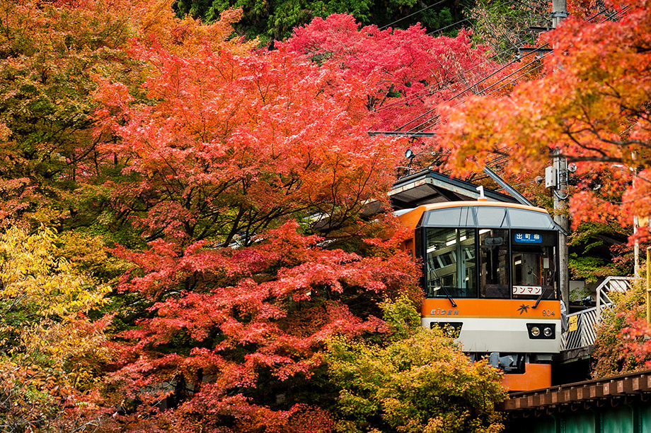 叡山電車紅葉隧道