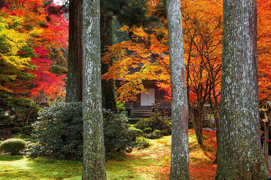 三千院