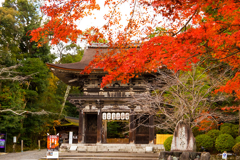 三井寺