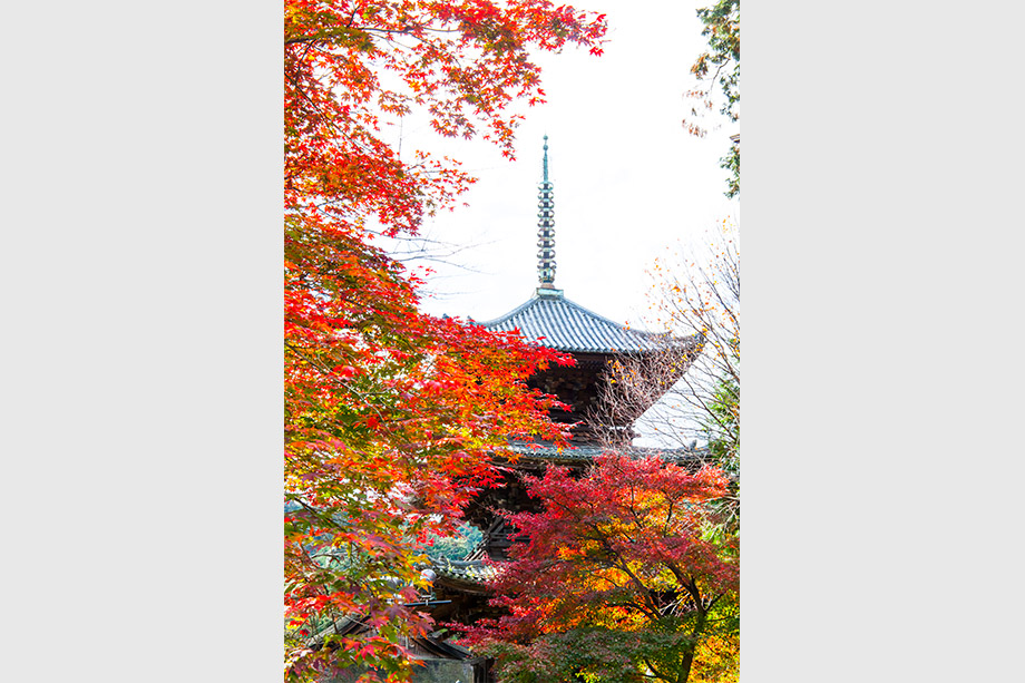 三井寺