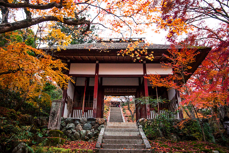 常寂光寺