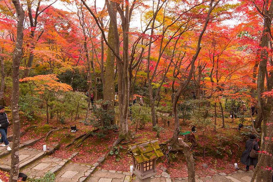常寂光寺