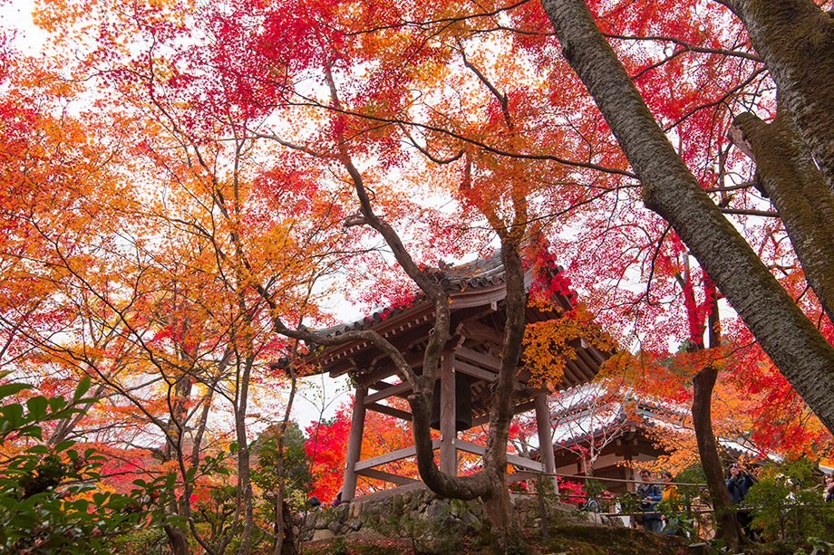 常寂光寺
