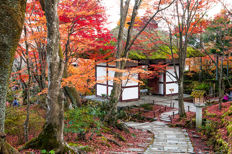 常寂光寺