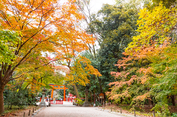 下鴨神社