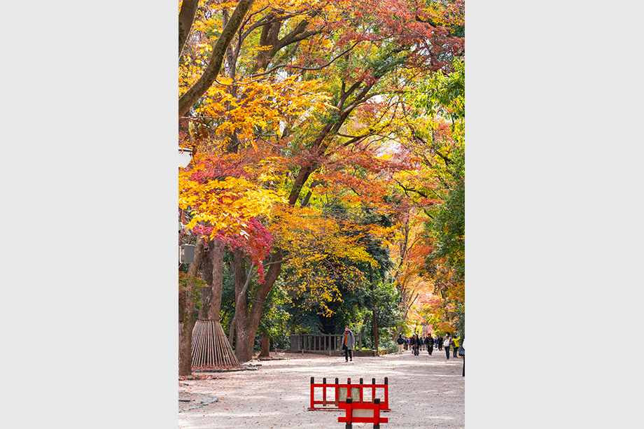 下鴨神社
