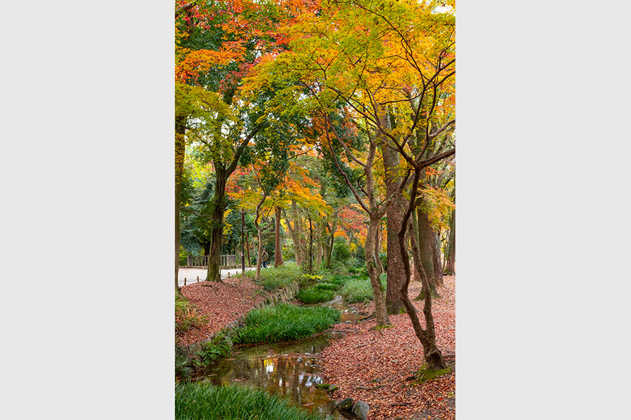 下鴨神社