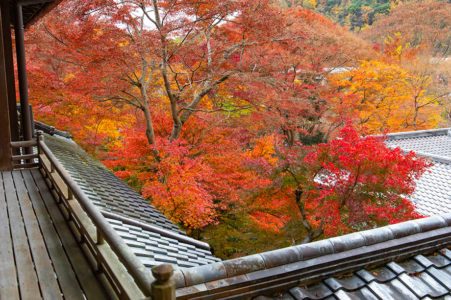 瑠璃光院