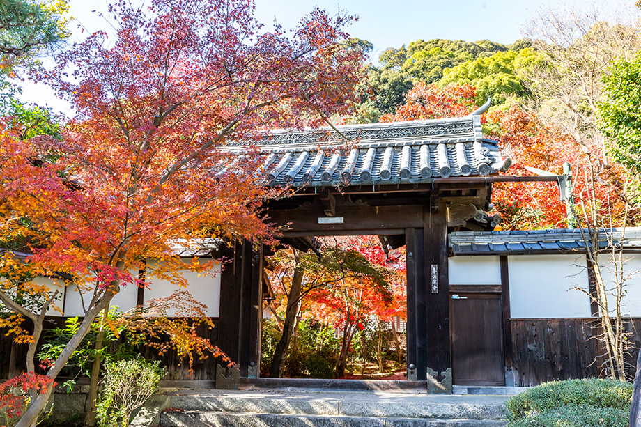 善法律寺
